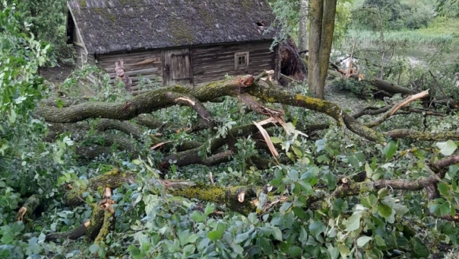 Vētras postījumi Bauskas novada mežos kostatēti vismaz 150ha platībā