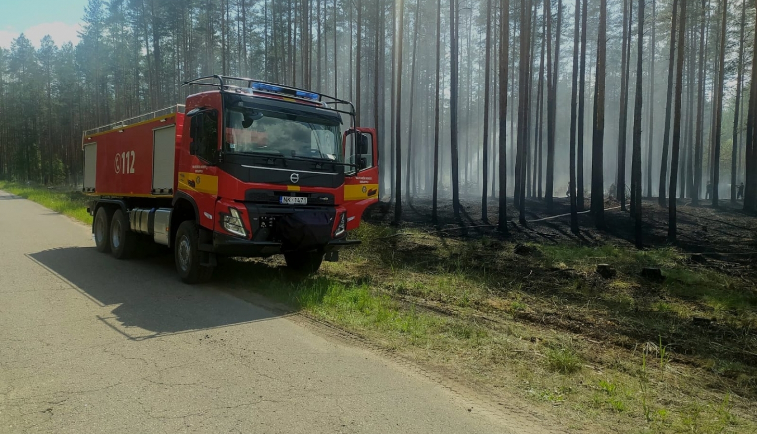 Augšdaugavas novadā ļaunprātīgi dedzina mežu